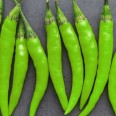 Sivri biber / Hot Green Peppers