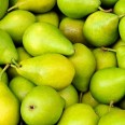 Armut SantaMaria / Pear SantaMaria