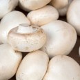 Kültür Mantar 400 gr / White Mushroom