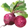 Pancar / Beetroot