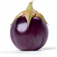 Bostan Patlıcan / Eggplant