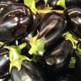 Beybi Patlıcan paket / Baby Eggplant