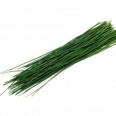 Frenksoğan 25 gr / Chives