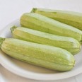 Kabak / Zucchini