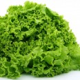 Kıvırcık / Lettuce