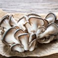 Kayın Mantar 200 gr paket / Oyster Mushrooms