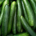 Salatalık / Cucumber