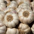 Sarımsak 5'li paket / Garlic