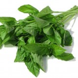 Fesleğen 25 gr / Basil