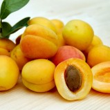 Kayısı / Apricot