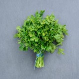 Maydonoz / Parsley