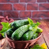 Çengelköy Salatalık / Native Cucumber