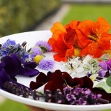 Yenilebilen Çiçek paket / Edible Flowers