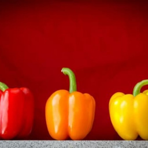 Renkli Dolma /  Californian Peppers