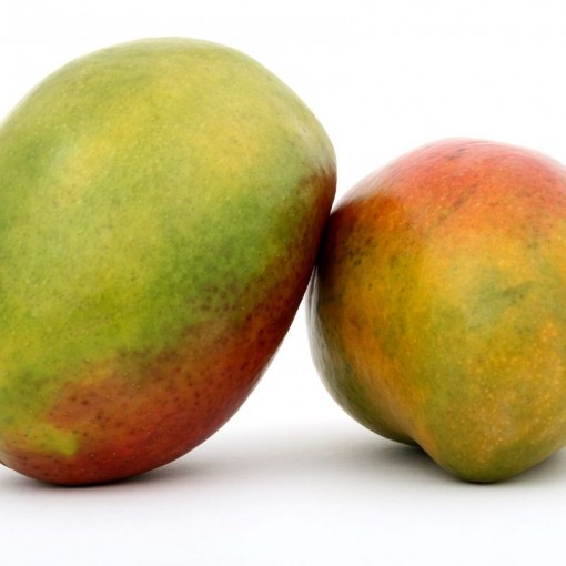 Mango/ Mangoes