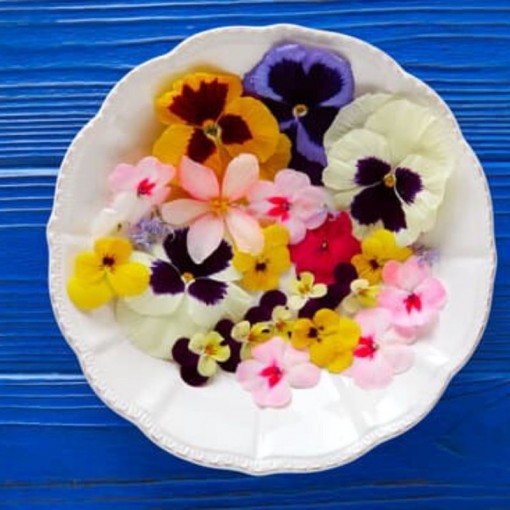 Yenilebilen Çiçek paket / Edible Flowers