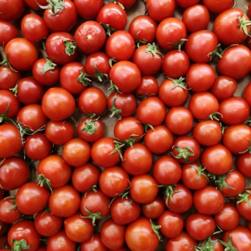 Plum Çeri Domates / Plum Cherry Tomatoes