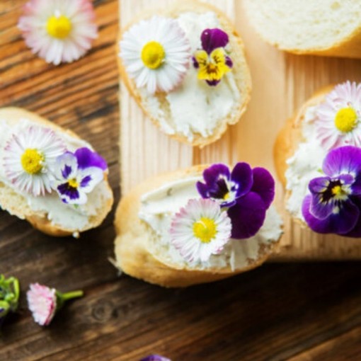 Yenilebilen Çiçek paket / Edible Flowers