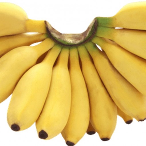 Muz Yerli / Banana Native