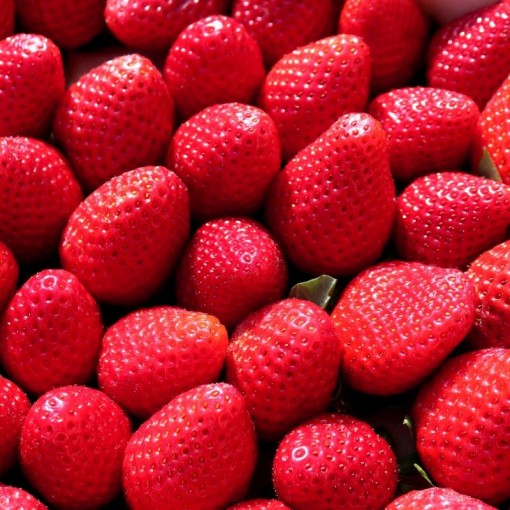 Çilek / Strawberry