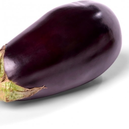 Bostan Patlıcan / Eggplant