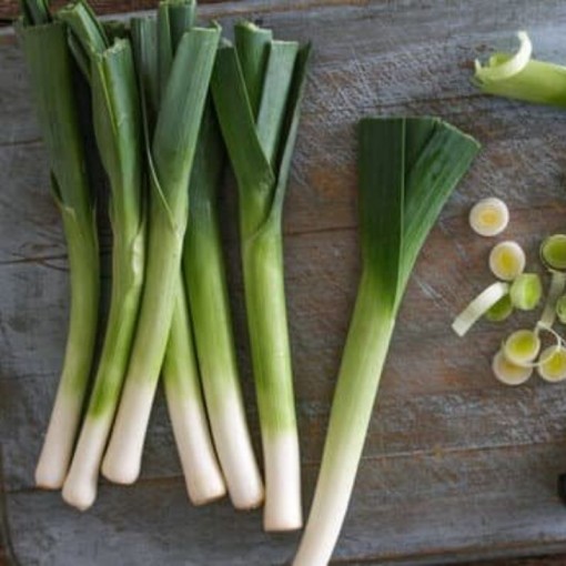 Pırasa / Leek