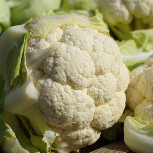 Karnabahar / Cauliflower