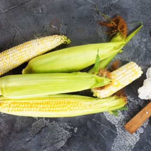 Taze Mısır / Corn